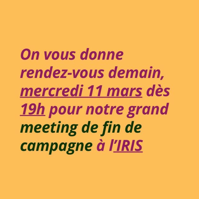 Rendez-vous demain, dès 19h, pour notre réunion de fin de campagne à l’IRIS ! ✊🤩

#francheville69 #francheville #municipales2026 #franchevilleencommun #alienorperrard